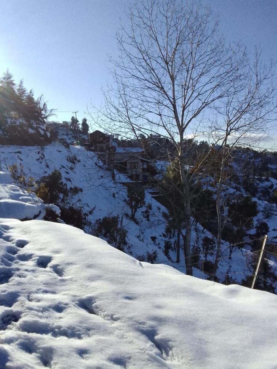 Him Monal Homestay Vacation rental in Uttarakhand
