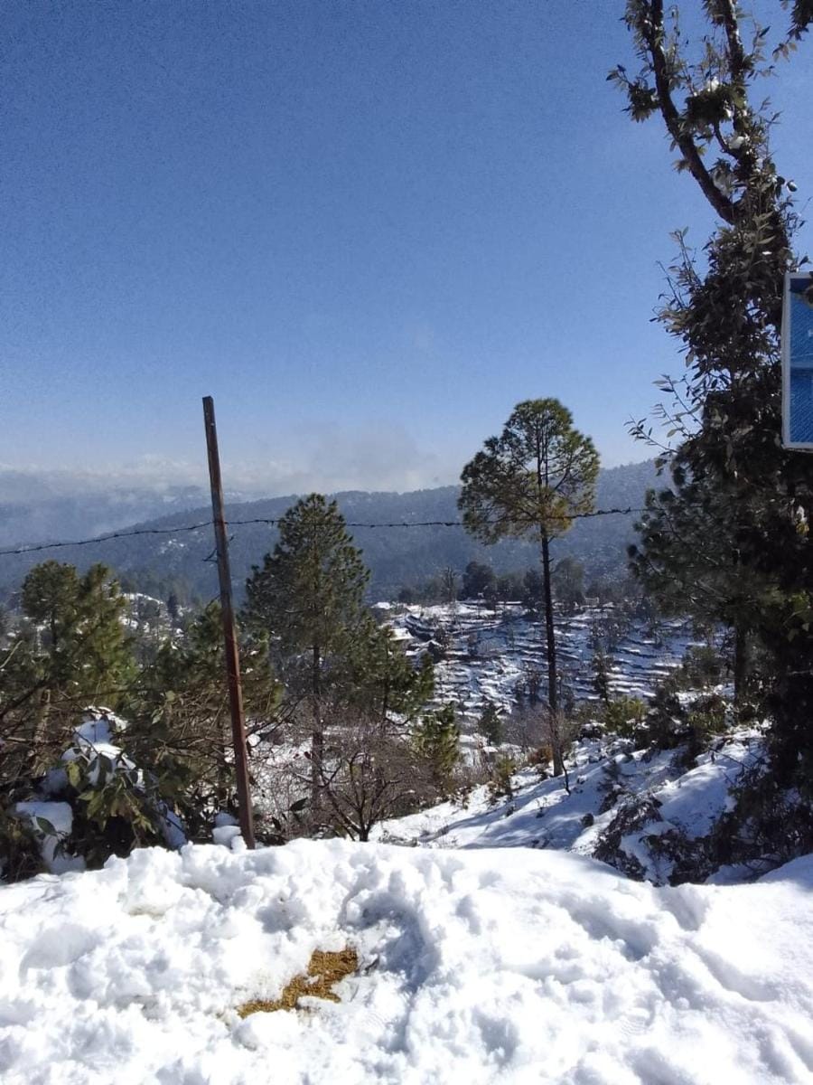 Him Monal Homestay Vacation rental in Uttarakhand