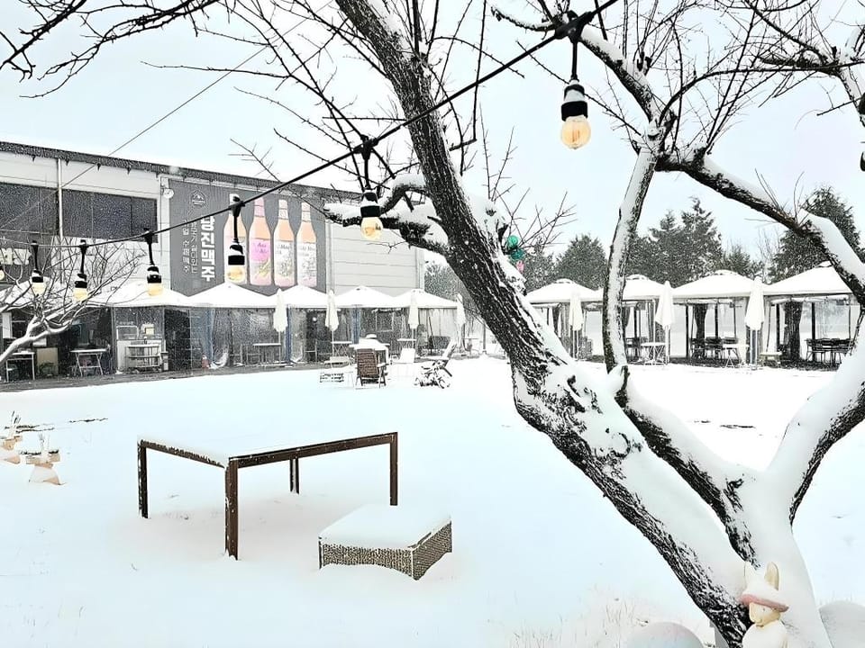 Dangjin Wangmaesil Village Bed and Breakfast in South Korea