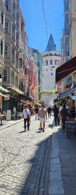 Galata Tower Is Almost In The House/The Balcony Apartment in Istanbul