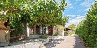 Holiday house ‘Les Lauriers-roses’ – 6 persons Vacation rental in Occitanie