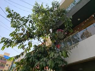 Orraica Stays Aman Luxuriya Apartment in India