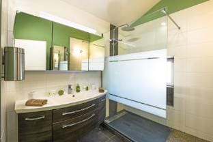Le Louzoane Vacation rental in Arles