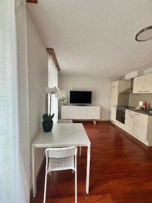Zzz Studio South Vacation rental in Interlaken
