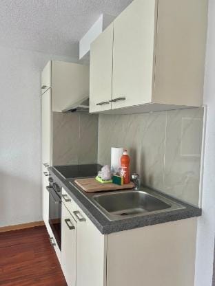 Zzz Studio South Vacation rental in Interlaken