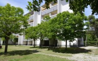 Stylish one bedroom near the sea Apartment in Bibione