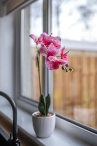 Bank House Vacation rental in Livingston