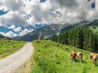 Chalet in Kitzbuhel Alps near Hiking Trails Vacation rental in Salzburgerland