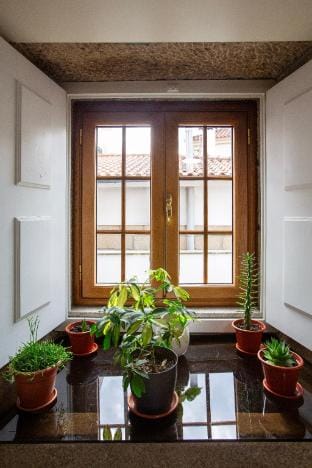 Casa dos Livros - Guest House Vacation rental in Portugal