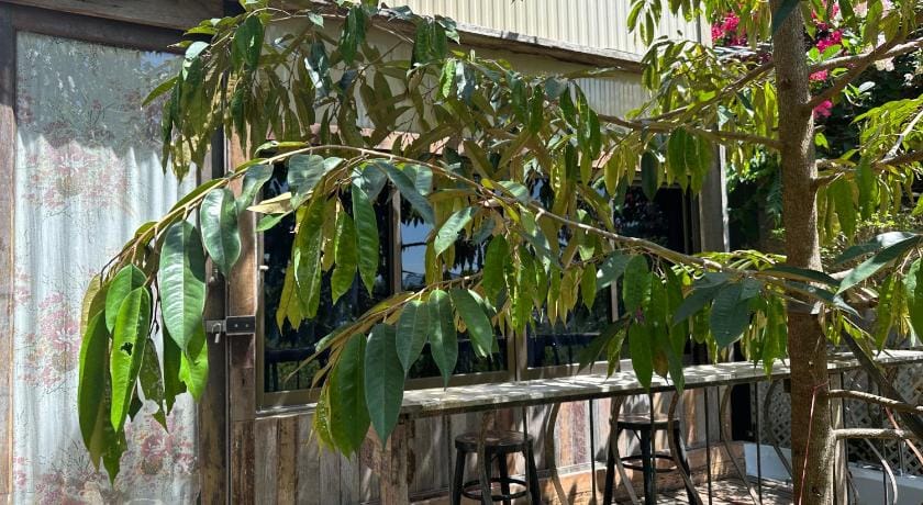 Cashew Garden House Farm Stay in Chalong