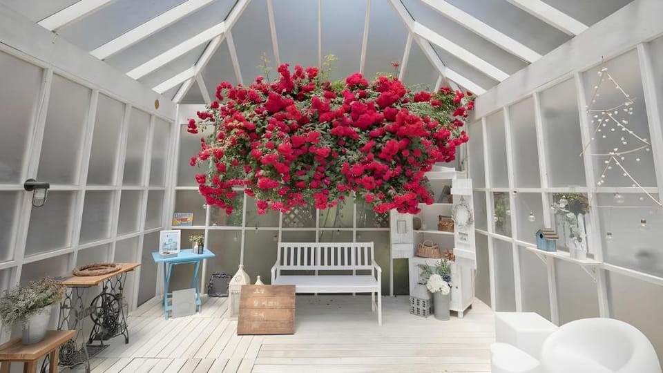 Milky Blue Pension Bed and Breakfast in South Korea