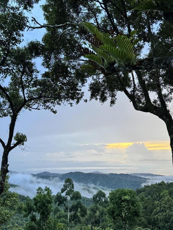 Forest 101 Hotel in Calabarzon