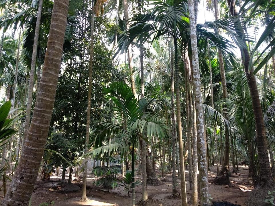 Pratiksha Cottage Vacation rental in Maharashtra