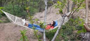 The Foliage -  welcome to your  glamping site! Vacation rental in Uttarakhand