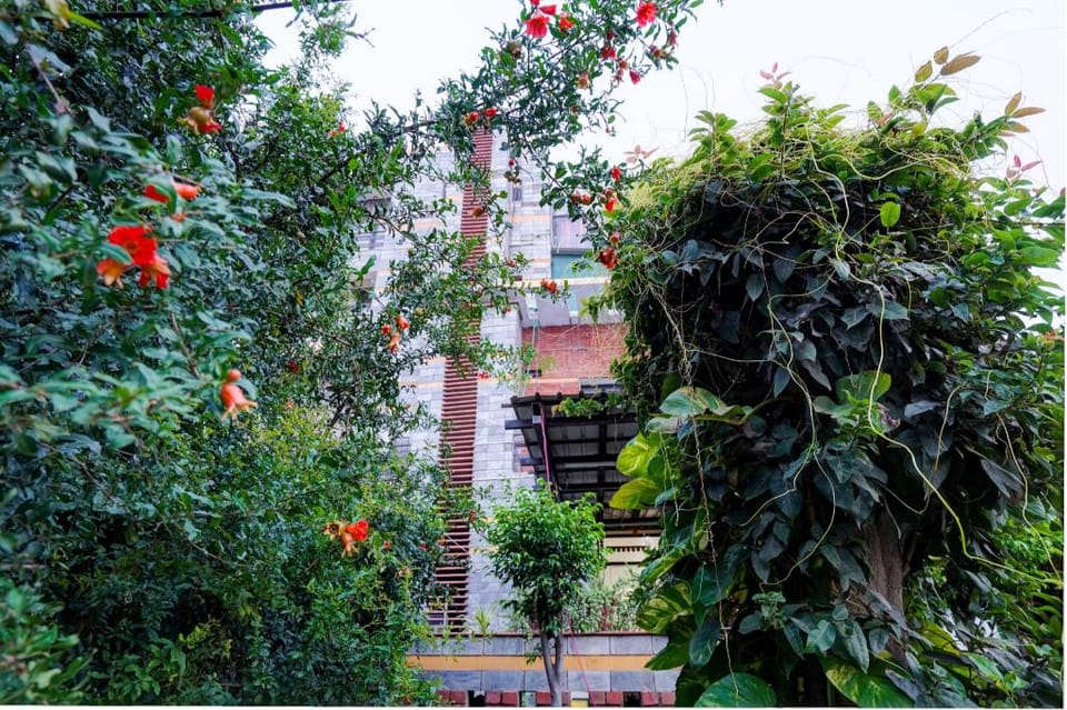 Hotel O LUXURY RETREAT Hotel in Noida