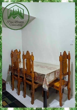 PineBristle homestay Apartment in Baguio