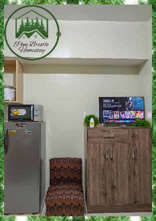 PineBristle homestay Apartment in Baguio