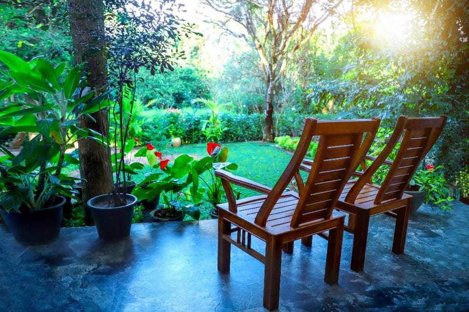 The Cattleya Guest House Sigiriya Hotel in Dambulla