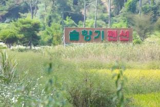 Suncheon Solhyanggi Pension-Pet friendly Bed and Breakfast in South Korea