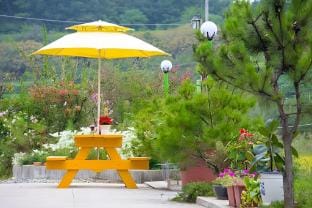 Suncheon Solhyanggi Pension-Pet friendly Bed and Breakfast in South Korea