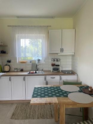 Elbe Vacation rental in Ukraine