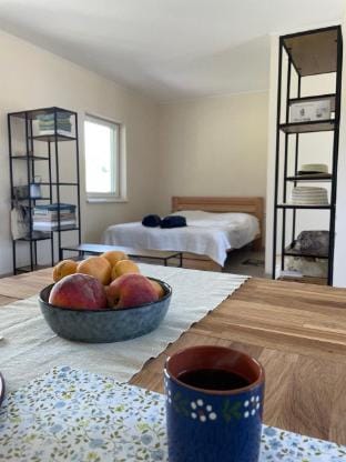 Elbe Vacation rental in Ukraine