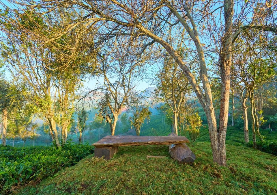 Silver Dale Tea Estate Bungalow Ooty by VOYE HOMES Vacation rental in Kerala
