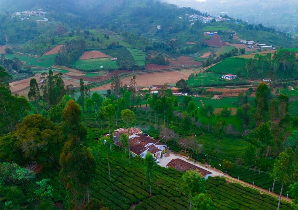 Silver Dale Tea Estate Bungalow Ooty by VOYE HOMES Vacation rental in Kerala