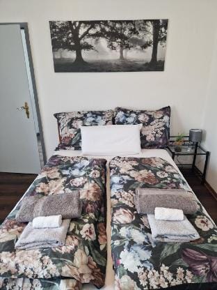 Charming room for up to two with mountain views Apartment in Vorarlberg, Austria