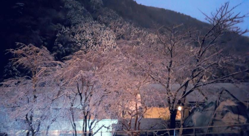 Condominium SAKURA B5 /Hakone private hot spring/ Apartment in Hakone