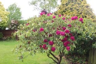 Beautiful 3 BR Home in Staines Near Heathrow Vacation rental in Staines-upon-Thames