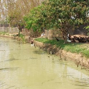 Sam Sook Farm Vacation rental in Thailand