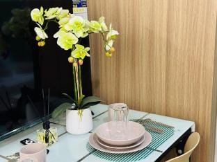 Shore 2 Residences Kiwi Room RM 326 by Prime Stay Vacation rental in Pasay