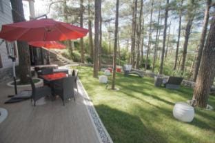 One House 10BR Luxury Home  Villa in Baguio