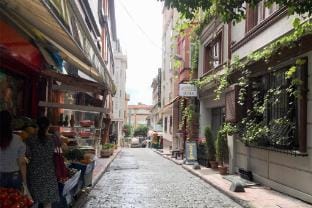 Gorgeous Two Bedroom Apartment - Roya Apartment in Istanbul
