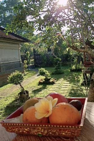 ondokhouse taro Ubud bali pedesaan asri Vacation rental in Tampaksiring