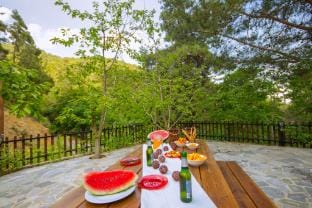 Amazing Villa in Pano Platres Cyprus Villa in Limassol District