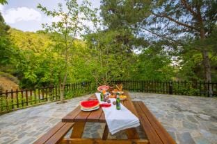 Amazing Villa in Pano Platres Cyprus Villa in Limassol District