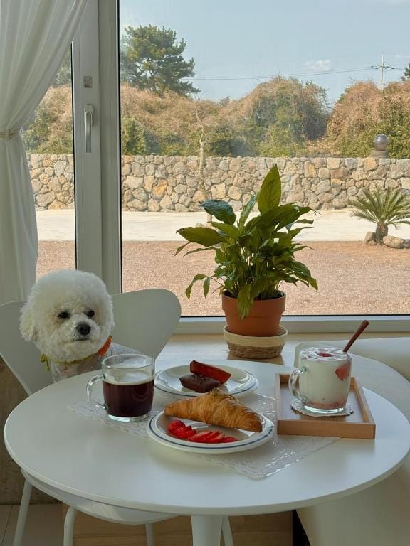 Jeju Stay Dayeon Bed and Breakfast in South Korea