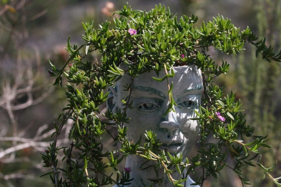 Crafters Cottage Farm Stay in Eastern Cape