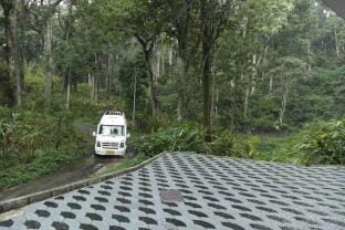 Raintree Cottage Vacation rental in Kerala
