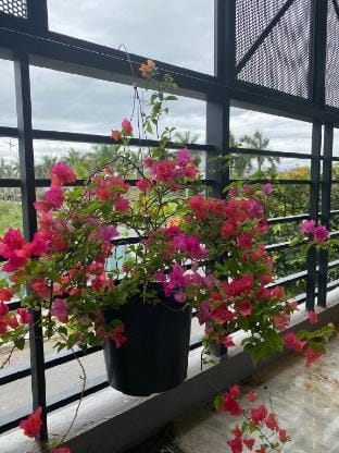 POP House Vacation rental in Da Nang