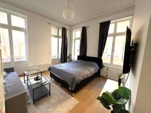 Charming Studio in the Center Vacation rental in Brussels
