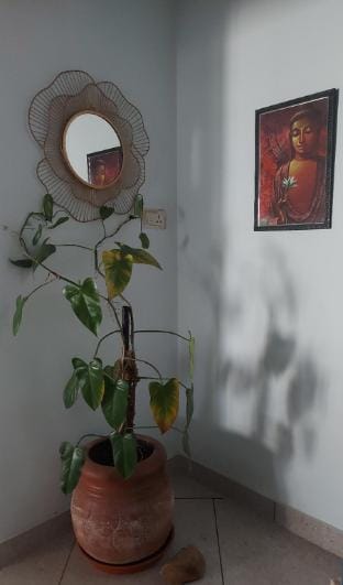 Soma House (Vrindavan) Vacation rental in Mysuru