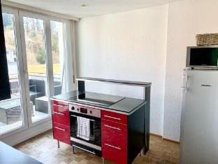 2BDR Rooftop Apt - Central Area Vacation rental in Lucerne