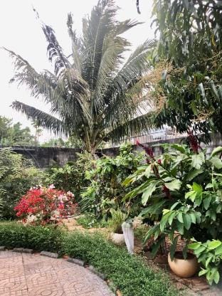 Nhà Vườn Ban Me 4 Vacation rental in Vietnam