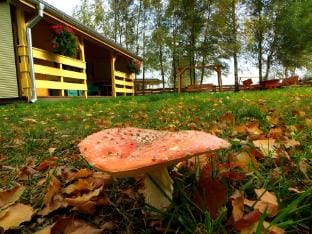 TLdomki Bed and Breakfast in West Pomeranian Voivodeship, Poland