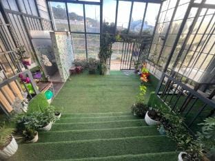 Kitty House Vacation rental in Dalat