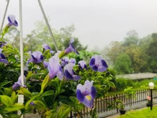 Ella Mist Bungalow  Vacation rental in Central Province