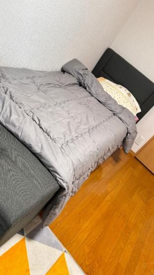 野方罗浮宫 Apartment in Japan